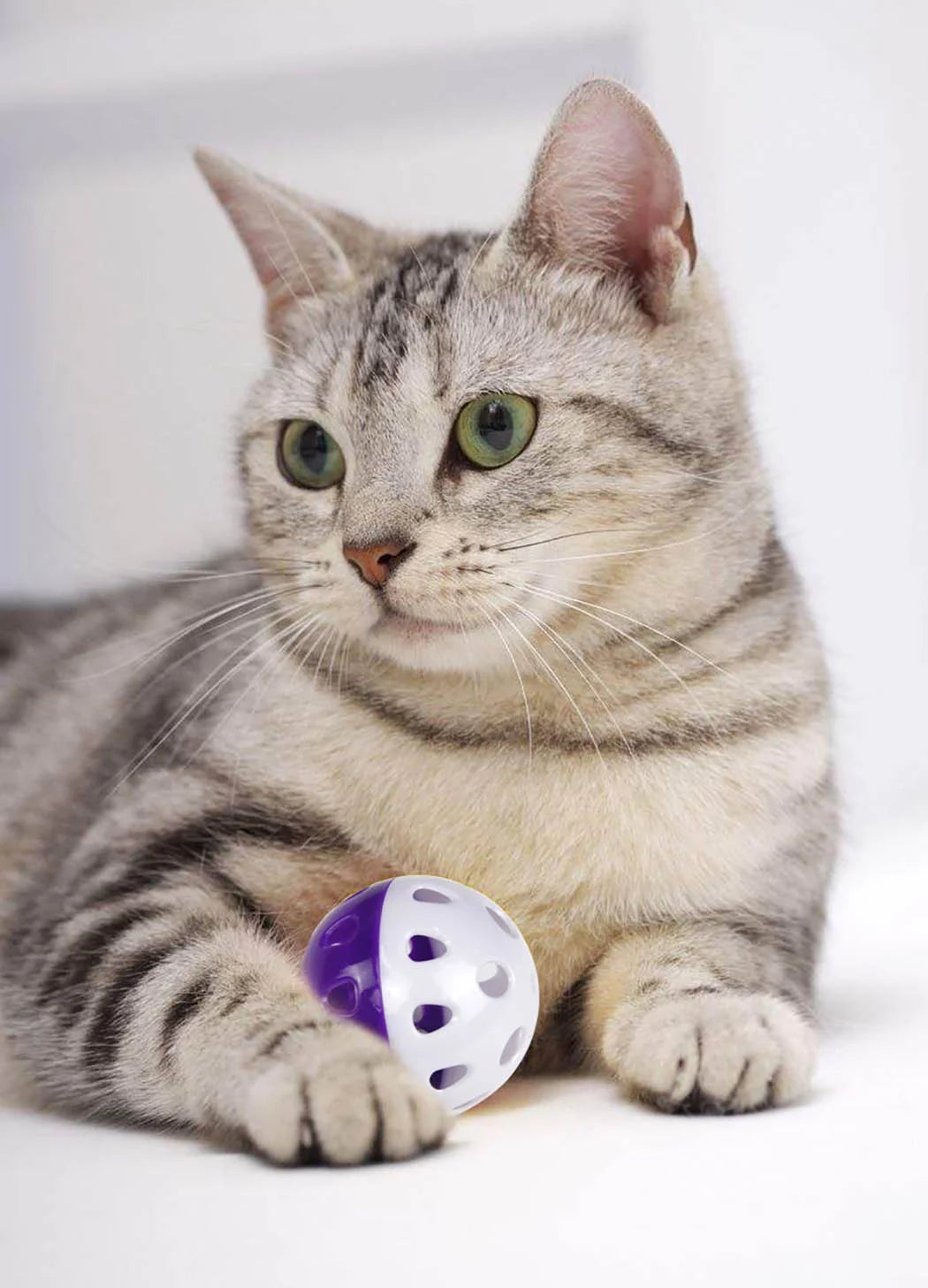 Engaging 6-Pack of Colorful Cat Bell Balls - Interactive Playtime Toys for Kittens